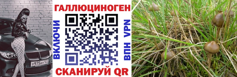 Псилоцибиновые грибы GOLDEN TEACHER  Раменское 