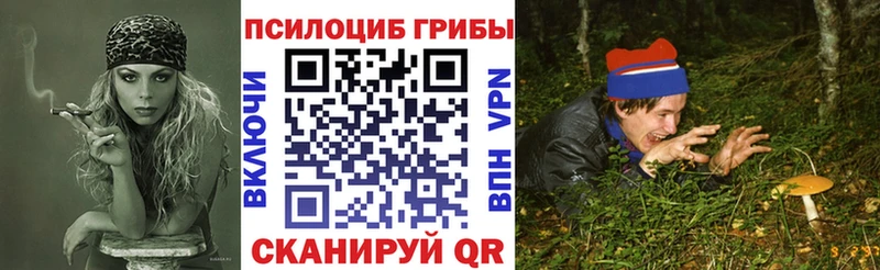 Псилоцибиновые грибы мицелий Раменское